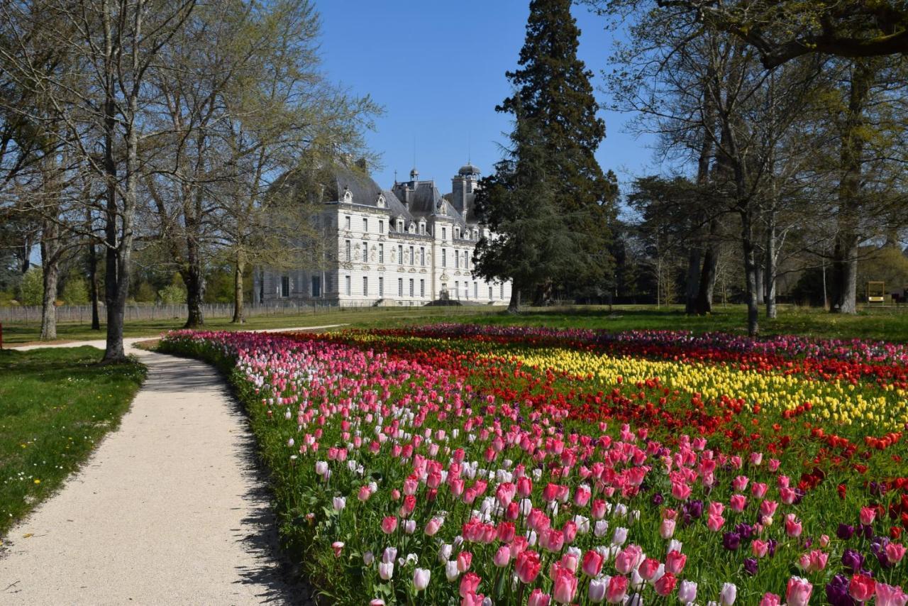 Logis Hotel Du Cygne Bracieux Eksteriør bilde